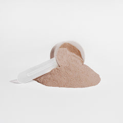 Fava Bean Protein Shake (Chocolate)